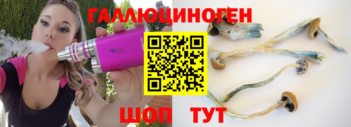 Псилоцибиновые грибы прущие грибы  Ачинск 